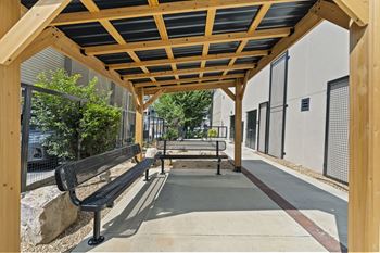 Shaded dog run